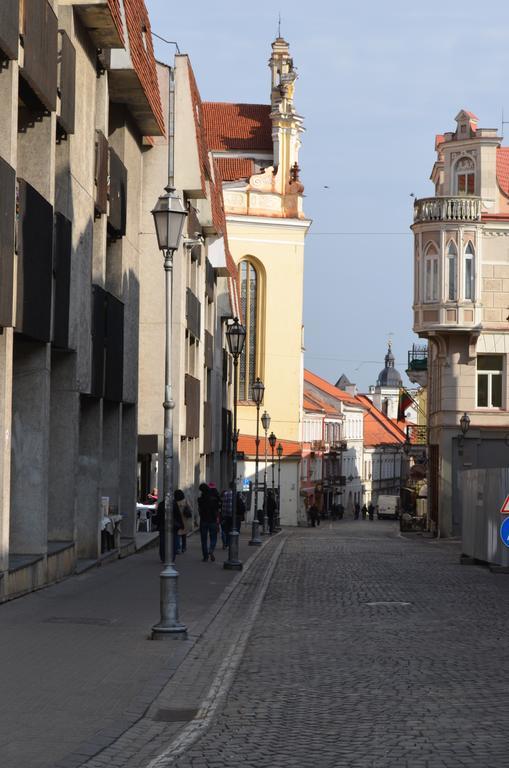 Sofijos Studio Old Town Apartment Vilnius Cameră foto
